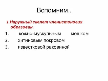 Каковы достоинства и недостатки наружного скелета