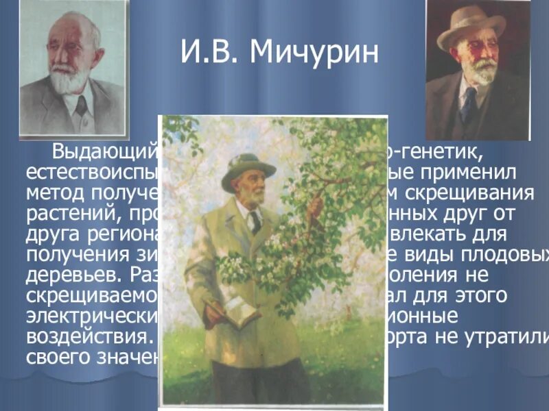 Работа мичурина селекция