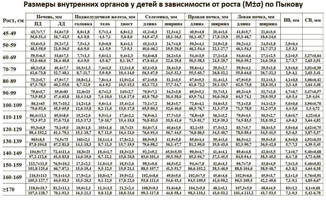 Таблица размеров печени по возрастам