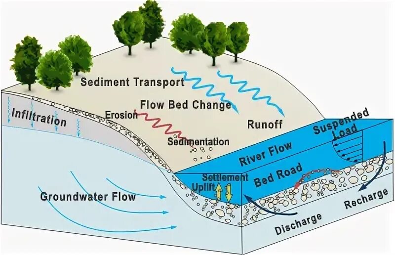 Sediment