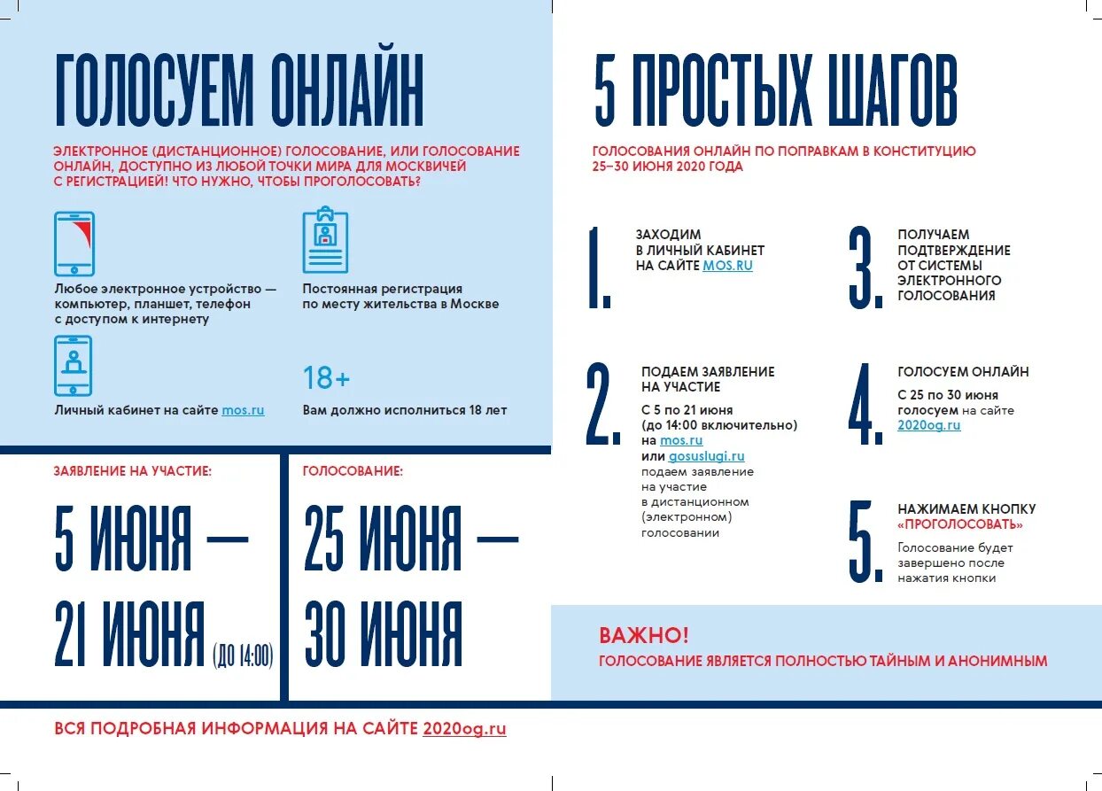 Не получилось проголосовать дистанционно что делать. Интернет голосование по поправкам.