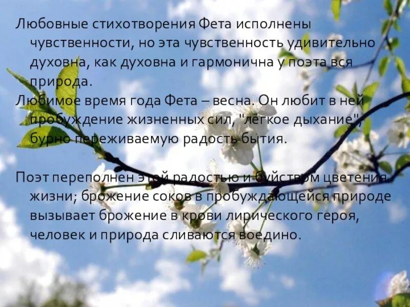 Стихотворение о весне фет. Стихи о природе. Стихотворение о природе и человеке. Стих о взаимоотношении человека и природы. Стихи о жизни природе.