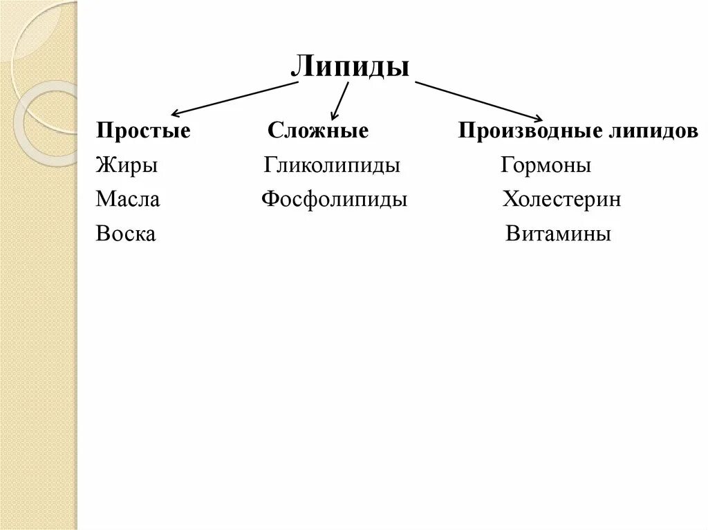 Основные липиды тканей человека. Классификация жиров и липидов. Классификация жиров простые и сложные. Классификация липидов простые и сложные липиды. Липиды простые и сложные схема.