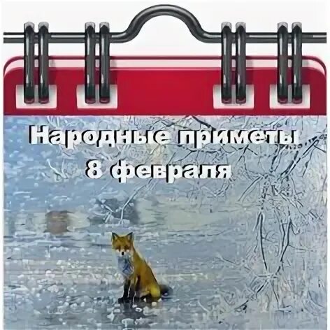 Приметы на 8 февраля 2024 года народные