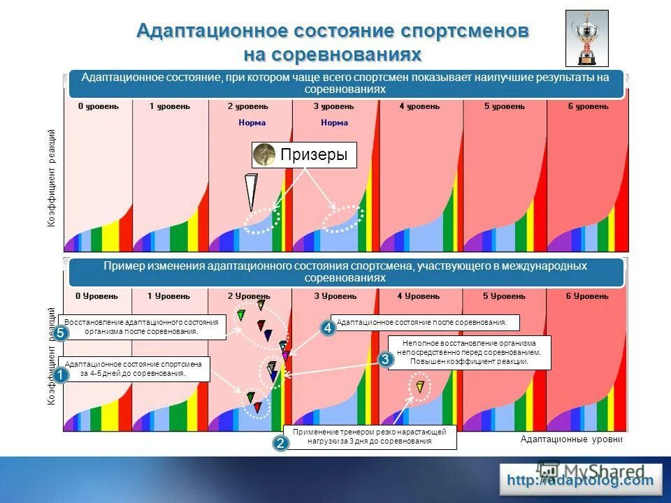 Оценка состояния спортсмена