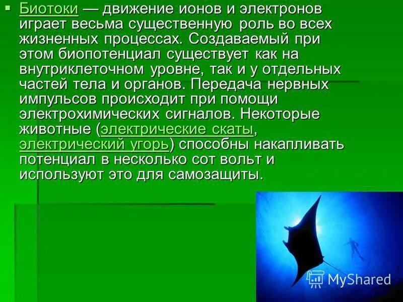 Биотоки человека. Биотоки физиология. Биоток это в биологии. Биотоки для тела. Вокруг движущегося иона существует существуют