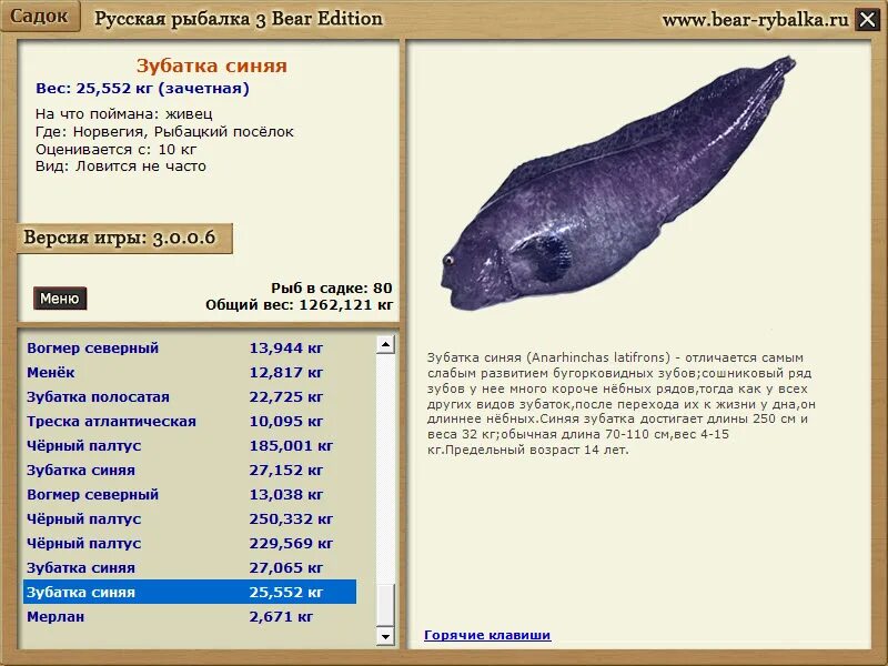 Стейки зубатки пестрой ~ 1кг. Зубатка пестрая стейк бореалис зам. Рыба зубатка синяя. Зубатка бореалис. Зубатка синяя.