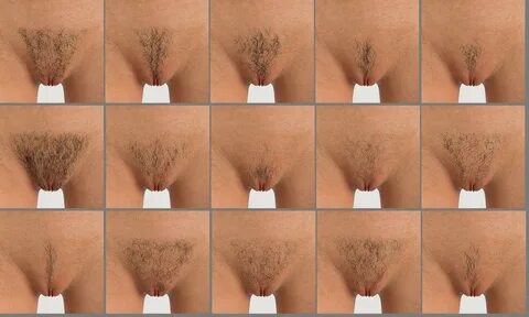 Intimate Body Hair Options for Genesis 8 Females. icon. 