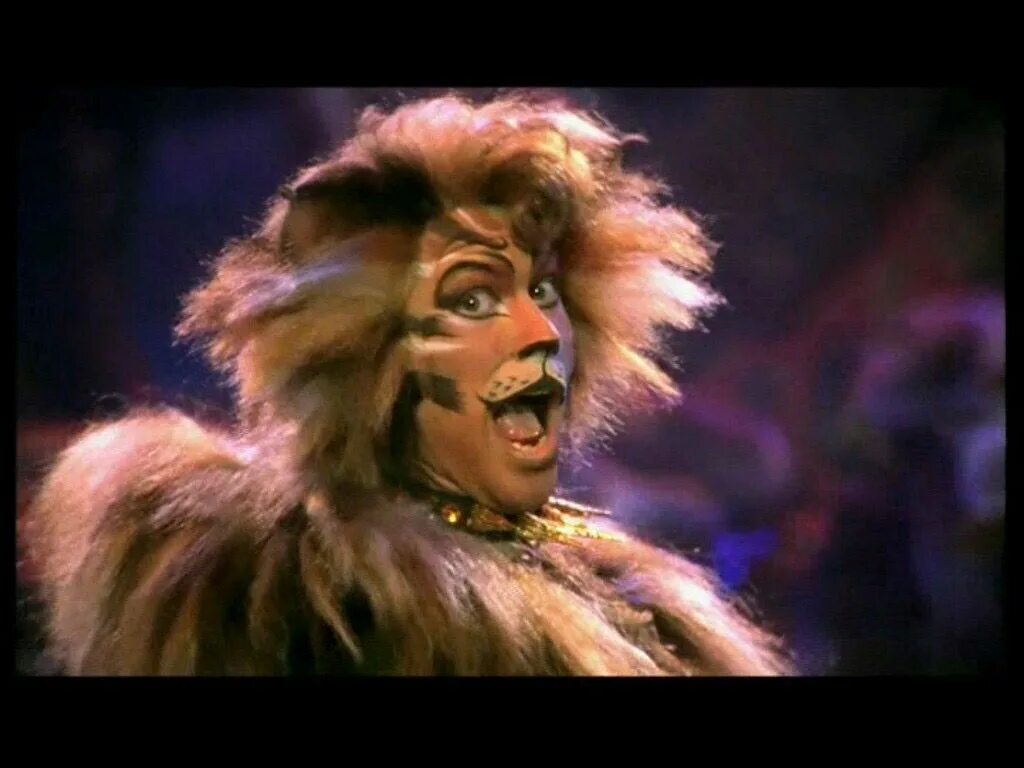 Мюзикл кошки rum Tum Tugger. Рам-там-Таггер мюзикл. Джон Партридж рам там Таггер. Мюзикл кошки рам там Таггер.