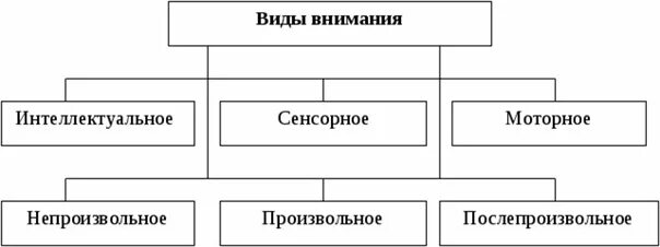 Внимание и его функции. Виды внимания и их функции схема. свойства внимания в психологии схема. процессы внимания в психологии таблица. внимание виды внимания в психологии схема.