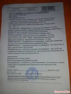 6 мм плодное