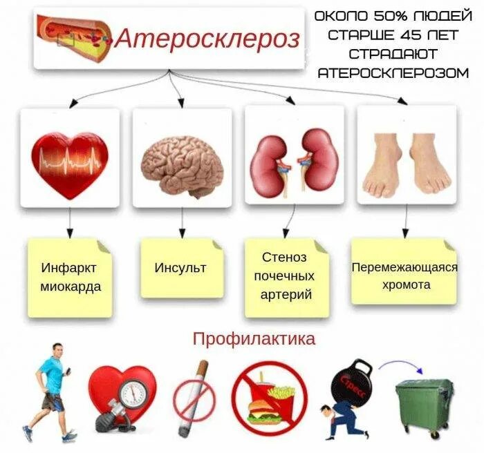 Атеросклероз симптомы причины. Профилактика атеросклероза. профилактика атеросклероза сосудов. атеросклероз симптомы и признаки. атеросклероз памятка.