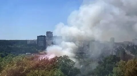 Воронеж новости последние на сегодня 2024 год