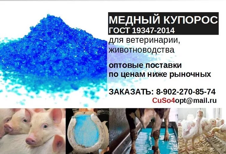 Болезни от медного купороса. Медный купорос в ветеринарии. раствор медного купороса. сульфат меди для животных. медный купорос для обработки копыт.