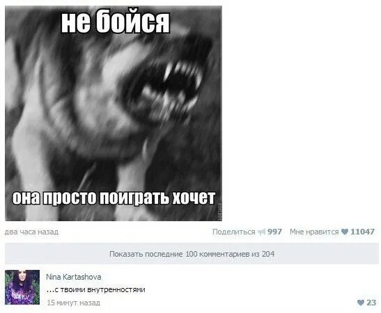 Просто хотим поиграть