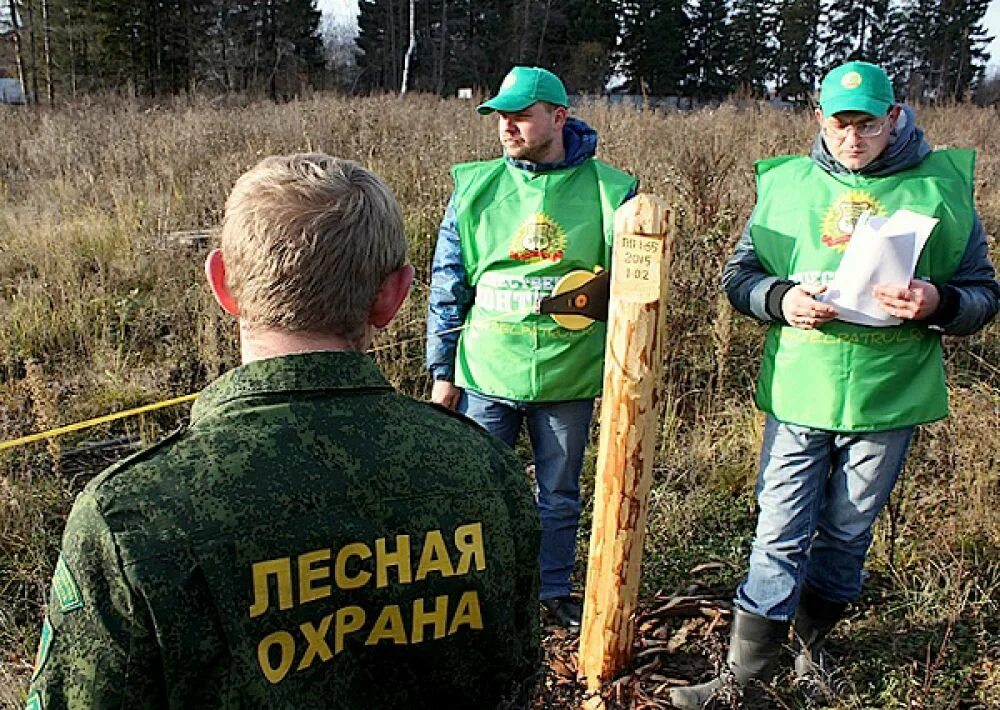 Охрана окружающей среди. Федеральный государственный Лесной надзор Лесная охрана. Лесная охрана Марий Эл. Лесная охрана Красноярского края сайт. Защита лесов.