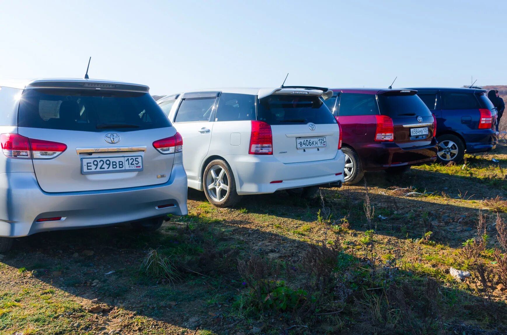Тойота виш. Тойота виш клуб. Toyota wish 2015 года. Тойота виш клуб. Наклейка виш клуб.