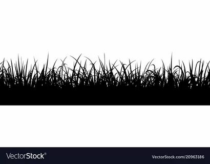 Black grass