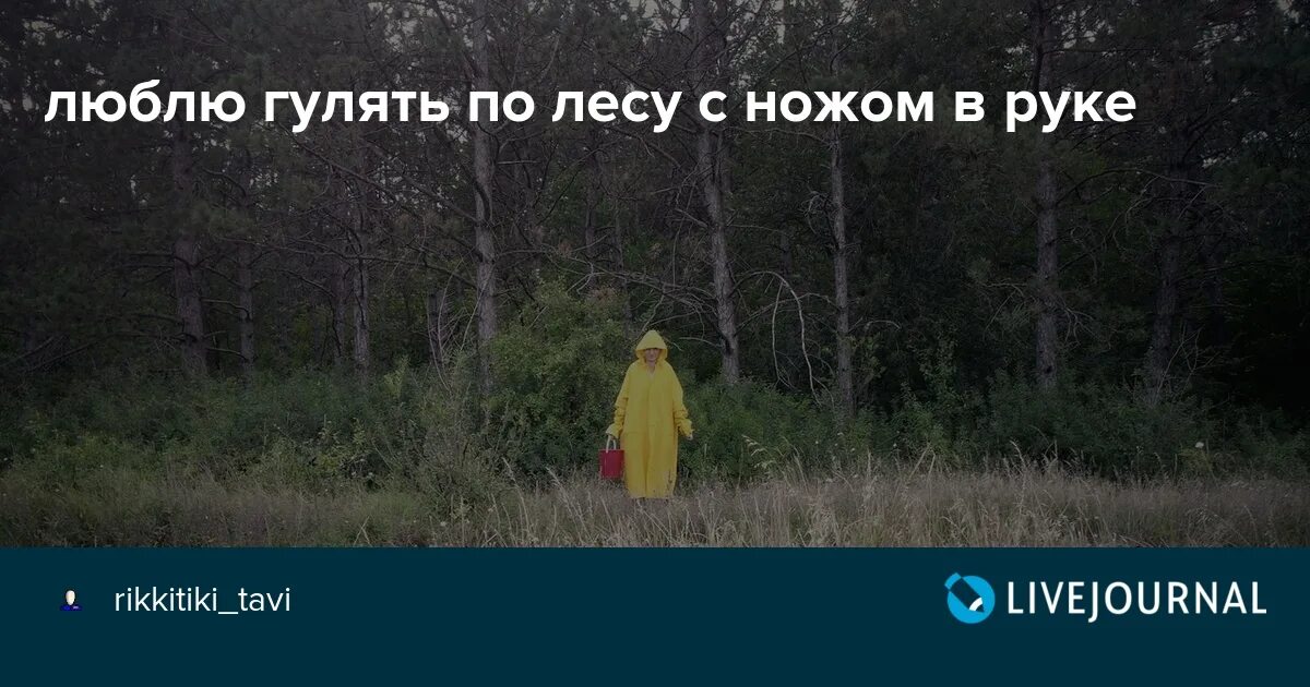 Люблю гулять по лесу с ножом. Люблю ходить по лесу с ножом. Люблю гулять по лесу с ножиком. Прогулка по лесу цитаты. Обожаю ходить