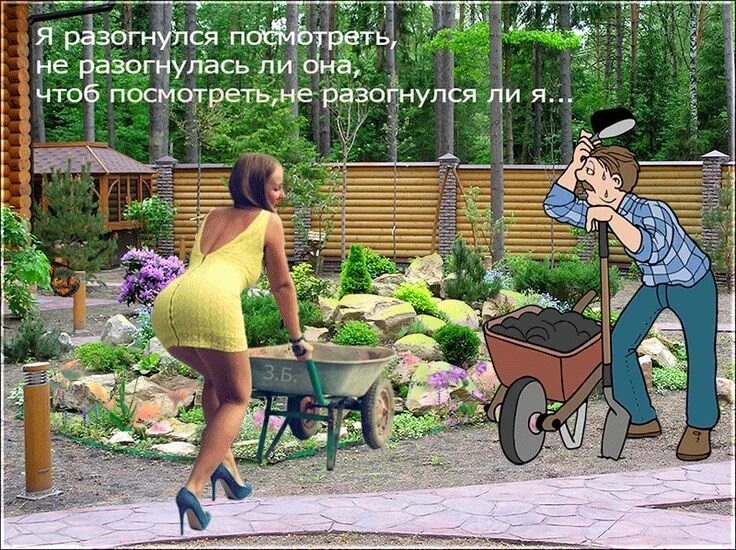 Приколы про дачу. Кот в огороде. Дача надпись. Смешные стихи про огород и дачу. Котик на даче.