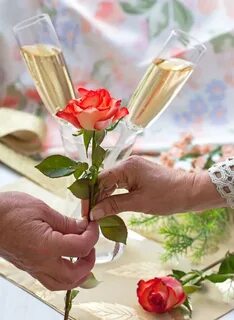 Give rose