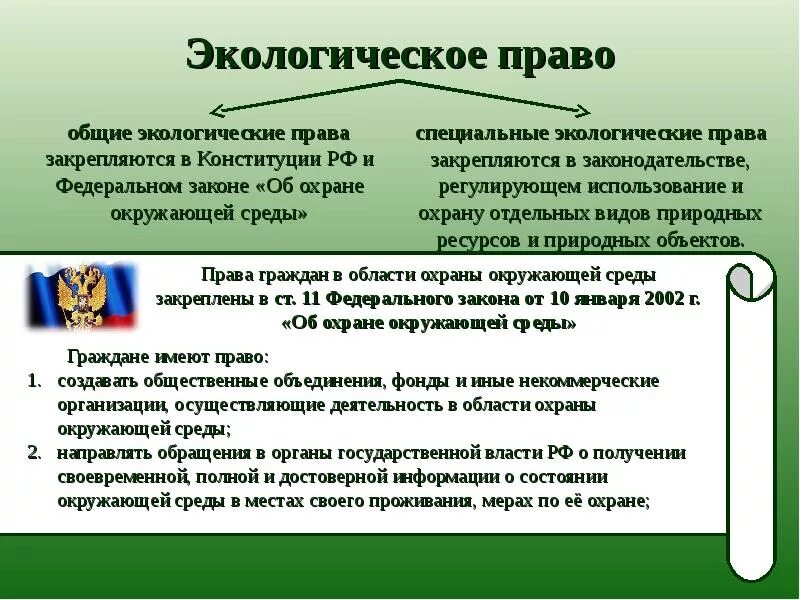 Назовите основные способы защиты экологических прав граждан. Полномочия и обязанности граждан в области охраны окружающей среды. Экологические обязанности граждан. Экологическое право.