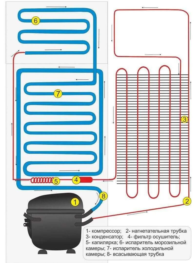 Холодильник устройство и принцип работы схема. Холодильник устройство и принцип работы. Схема трубопровода бытового холодильника. Холодильник устройство и принцип работы схема. Устройство холодильного агрегата бытового холодильника.