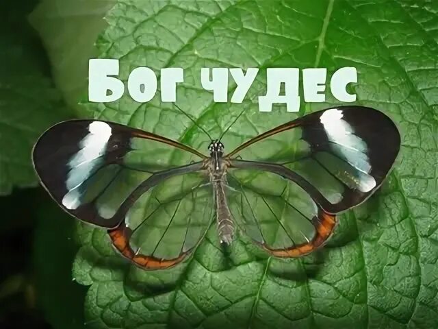 Е верю