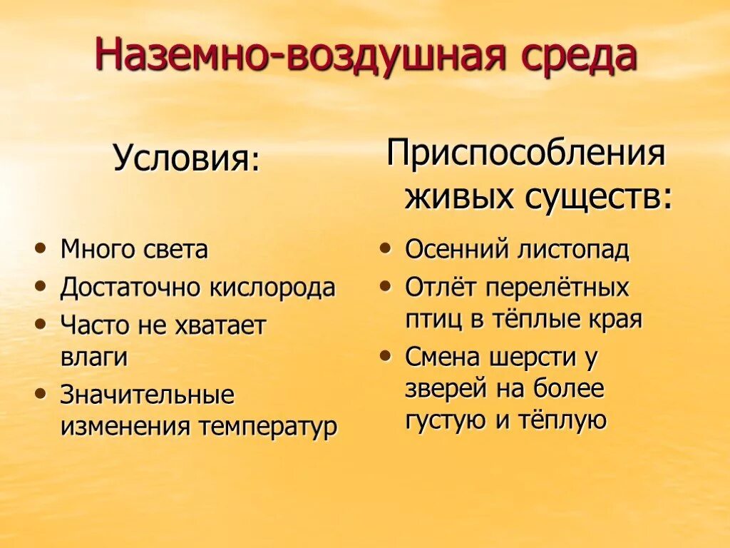 Наземно воздушная среда обитания для ответ. Характеристика воздушно-наземной среды обитания. Наземно-воздушная среда обитания. Условия наземно-воздушной среды обитания. Наземновоздушкая среда.