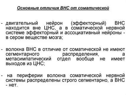 Отличие вегетативной нервной системы
