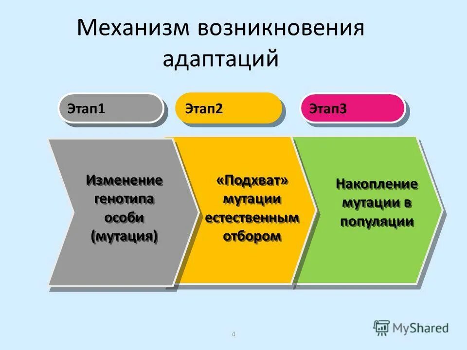 Возникновение адаптаций в результате естественного отбора