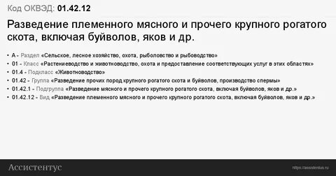 62.01 оквэд расшифровка
