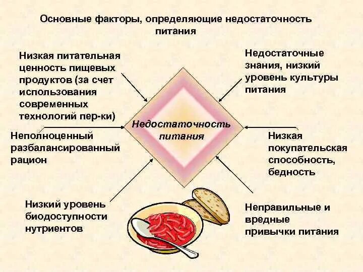 Питание низкий уровень. Основные факторы питания. Причины недостаточности питания. Основные факторы определяющие рацион питания человека. Фундаментальные факторы.