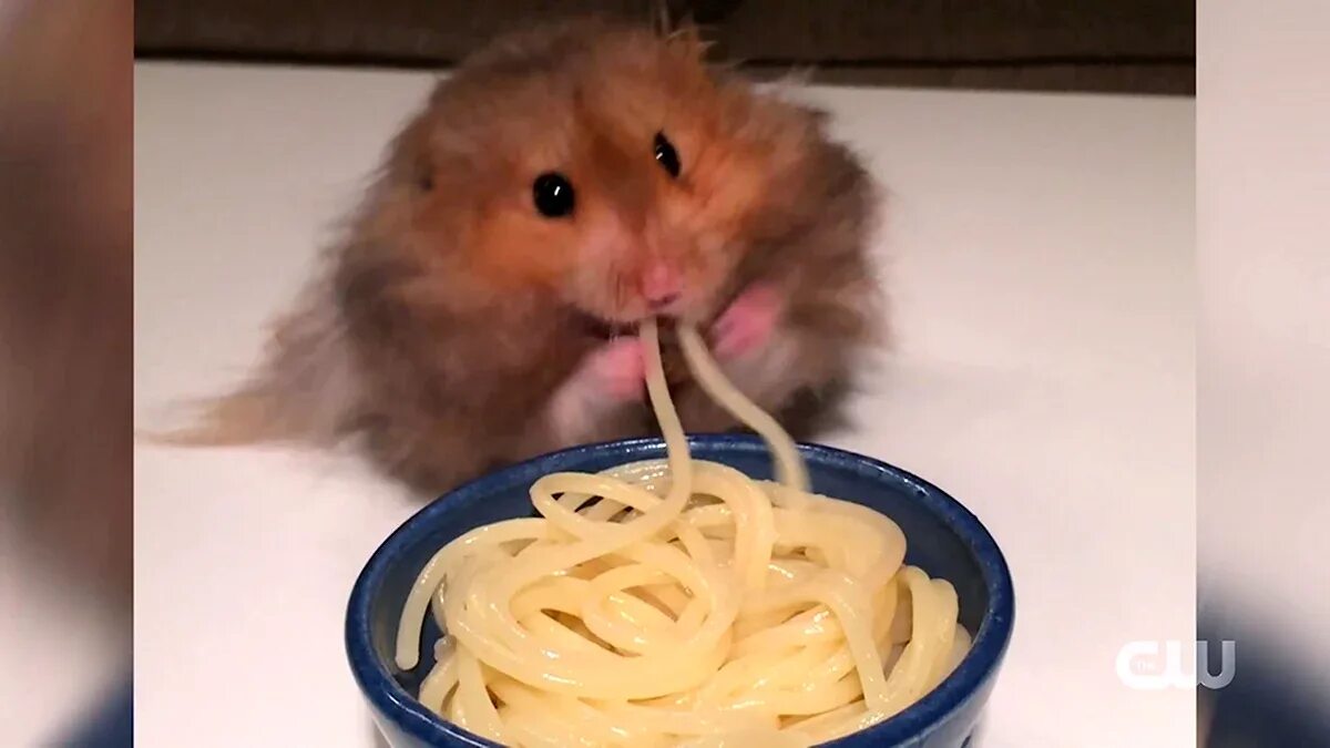 что значит kyc lvl. что такое kyc в криптовалюте. Kyc верификация. Kyc верификация. Kyc система.