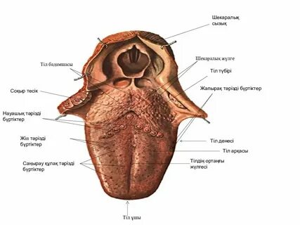 Порно видео, онда олар соншалықты қатты трахается пизду slurps