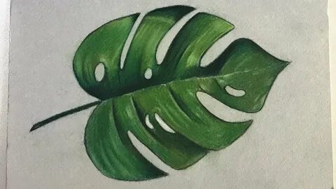 Что нарисовать на зеленой бумаге
