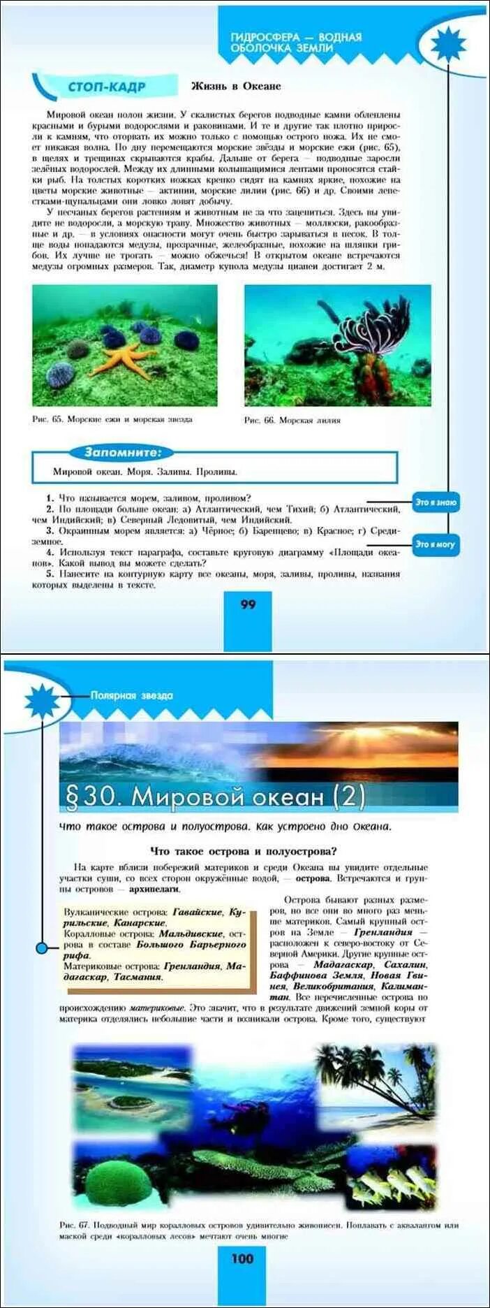 Содержание учебника по географии 5 6 класс Алексеев. Содержание учебника география 5 кл Алексеев. Алексеев Николина Липкина география. Издание Полярная звезда география 5 кл Алексеев Николина Липкина. География 5 6 класс алексеев стр 77