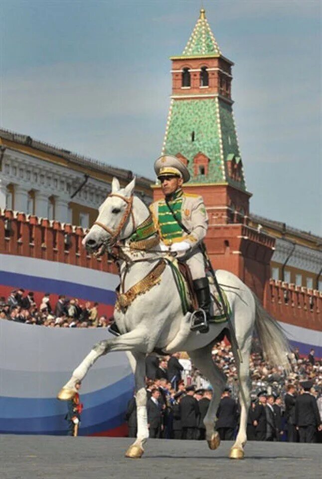 Ахалтекинская лошадь Маршал Жуков. Маршал Жуков на параде на ахалтекинце. Конь на параде.
