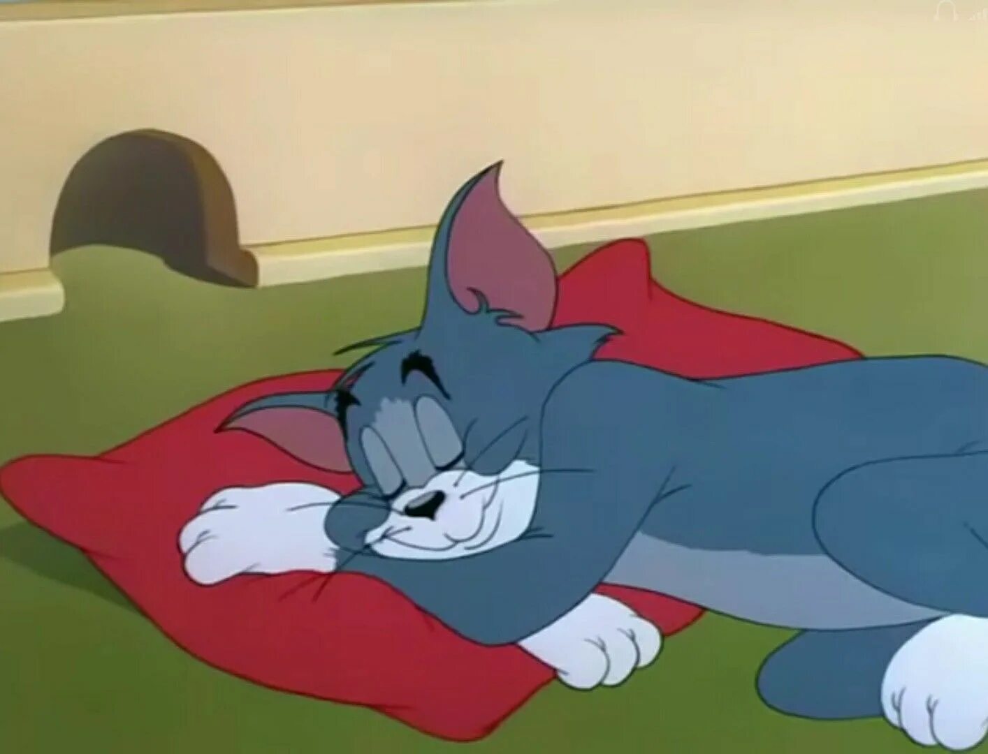 Sleeping tom. Сонный том из Тома и Джерри.