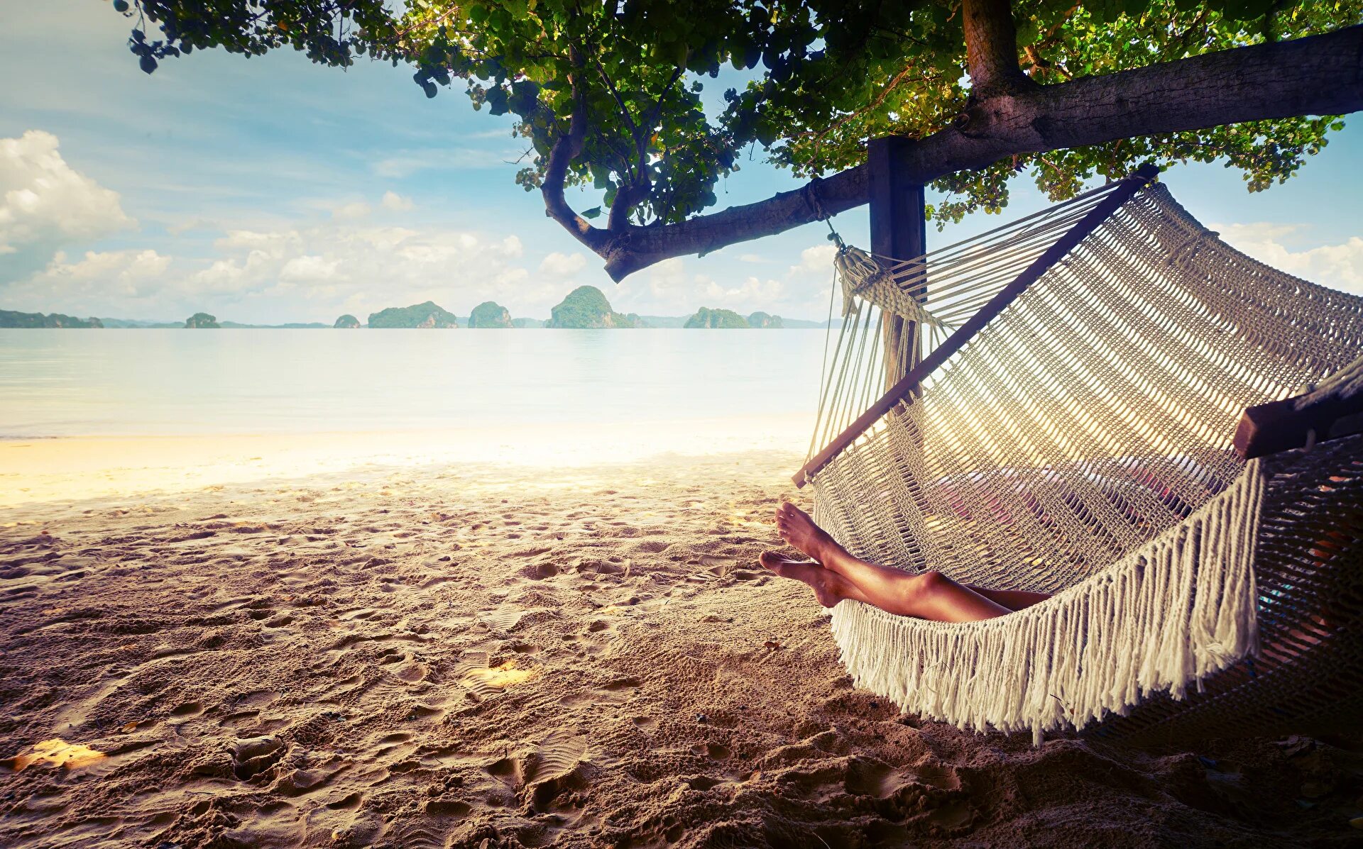 Fly relaxing