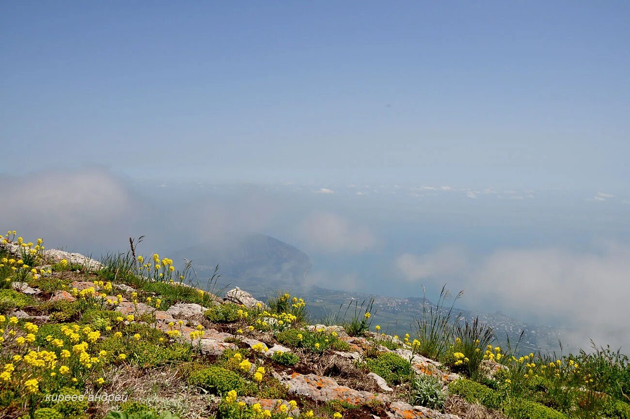 Где в крыму заповедники