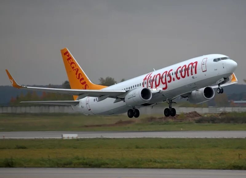 Pegasus авиакомпания сайт. Пегасус авиакомпания. Pegasus Airlines самолеты. Пегасус авиакомпания Pegasus Airlines. А320 Пегасус.