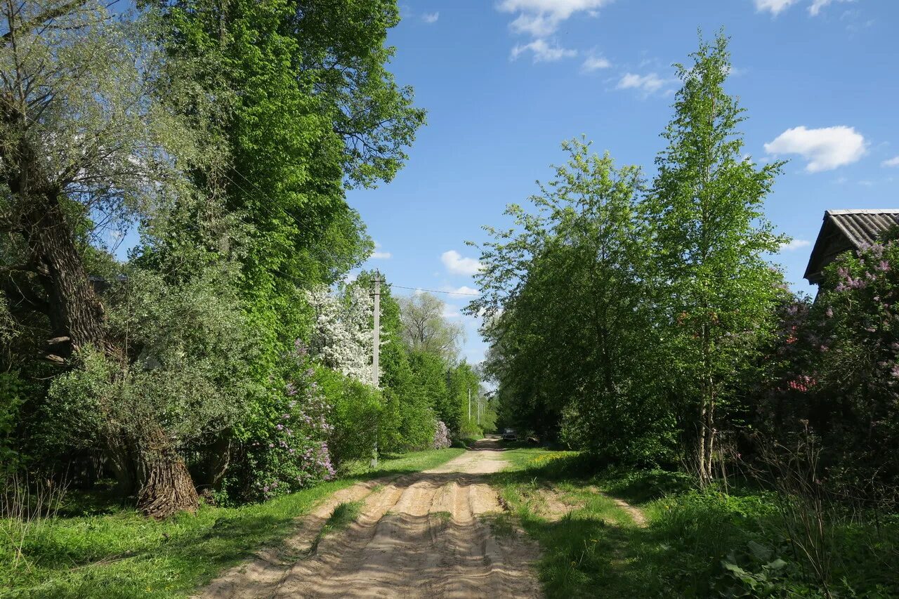 лужское поселение. лужское поселение. поселок саба лужский район. луга и лужский район. генеральный план усть-лужского сельского поселения.