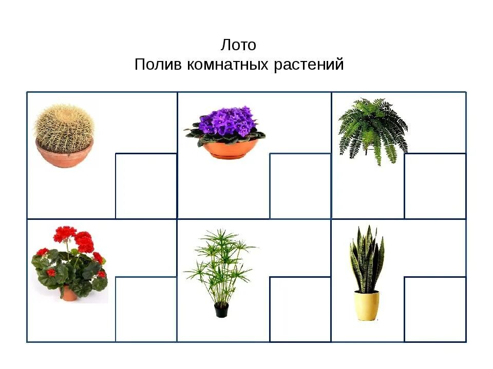 Игры на тему комнатные растения