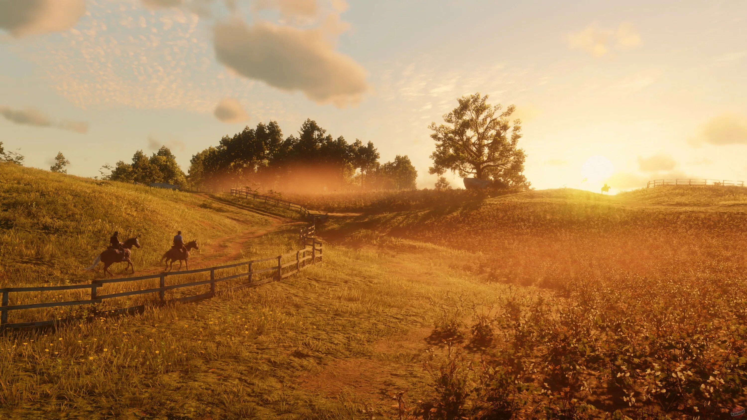 Red dead redemption 2 природа. Red Dead Redemption 2 поле. Red Dead Redemption 2 Landscape. Red Dead Redemption 2 screenshots.