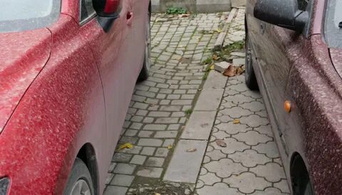 Что такое грязевой дождь в прогнозе погоды