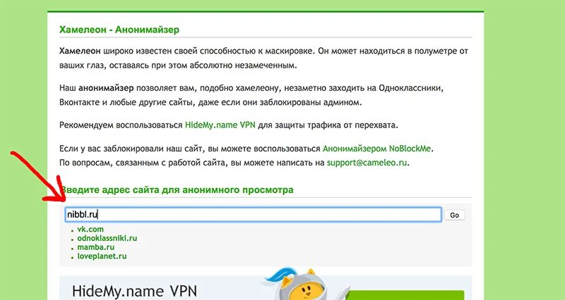 Анонимайзер. Анонимайзер хамелеон. Анонимайзер ВК. Как зайти на анонимный сайт. Анонимайзер это