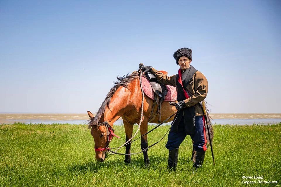 кубанские казаки на лошадях. донской казак в поле. казак на лошади. донской казак джигитовка. казак на лошади.