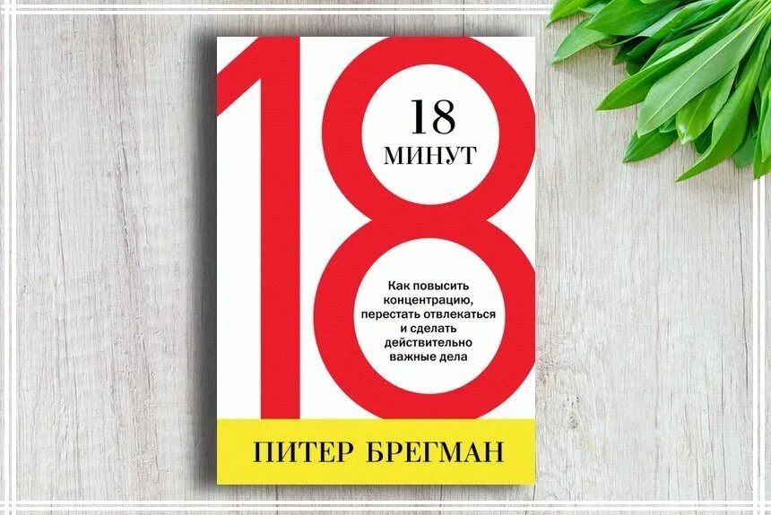 18 Минут Автор – Питер Брегман. Питер Брегман. Книга Питера Брегмана "18 минут". С Л Брегман. Книга 20 минут