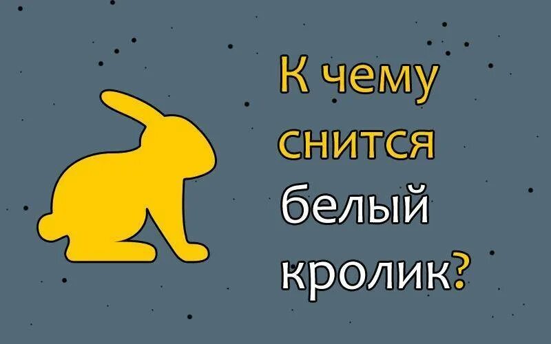 К чему снятся кролики. К чему снится белый кролик. К чему снятся крольчата. Кролик во сне к чему снится. К чему снится кролик живой